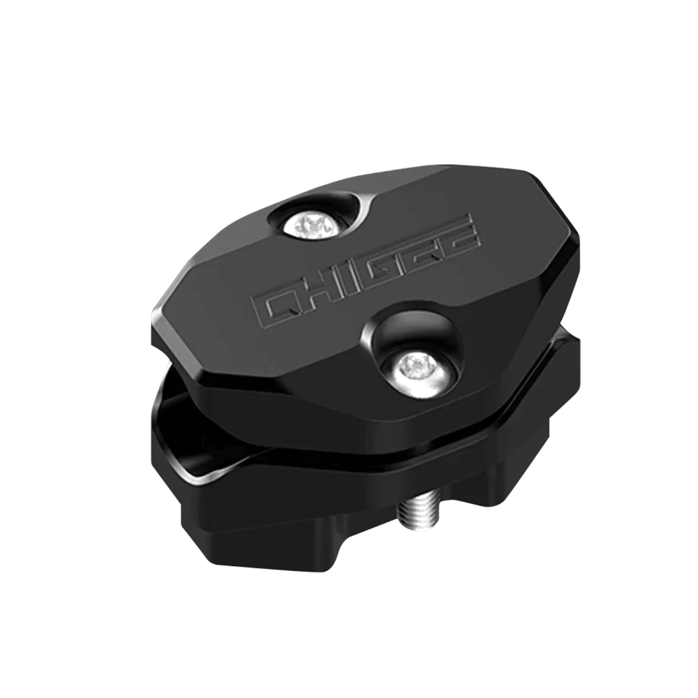 Daisy on the Ohoopee